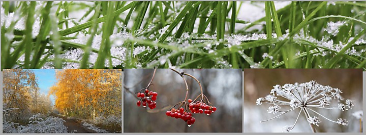 Садоводческое некоммерческое товарищество